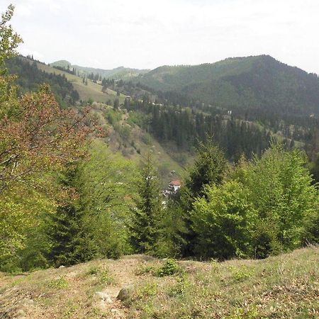 Zan Hotel Voineasa Bagian luar foto