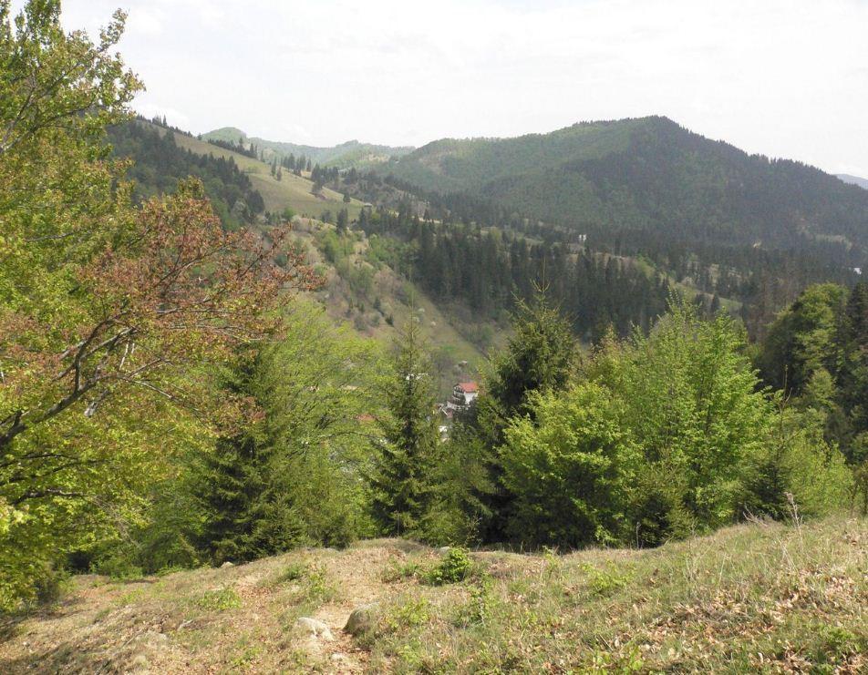 Zan Hotel Voineasa Bagian luar foto
