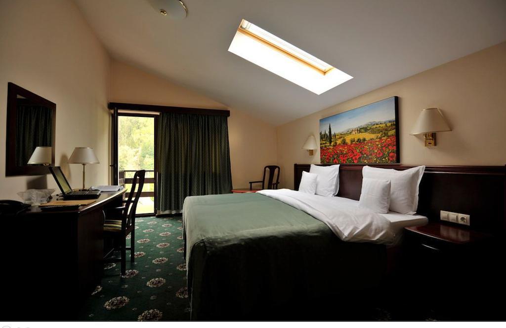 Zan Hotel Voineasa Ruang foto